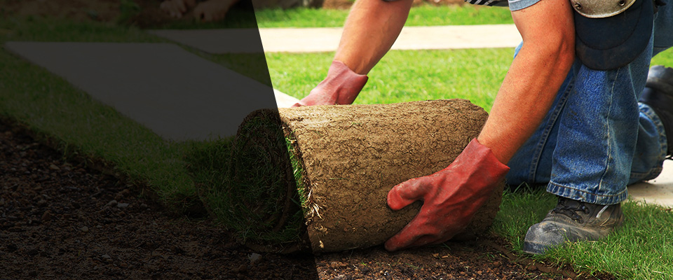 Torrington Landscapers